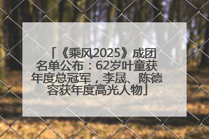 《乘风2025》成团名单公布：62岁叶童获年度总冠军，李晟、陈德容获年度高光人物