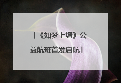 《如梦上塘》公益航班首发启航