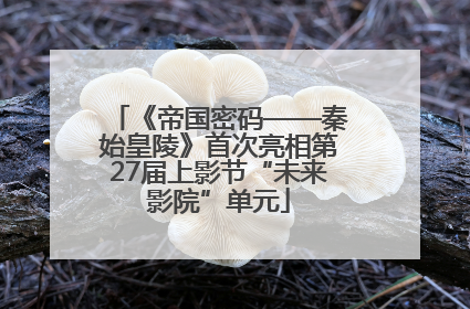 《帝国密码——秦始皇陵》首次亮相第27届上影节“未来影院”单元