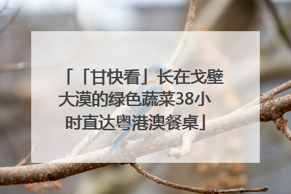 「甘快看」长在戈壁大漠的绿色蔬菜38小时直达粤港澳餐桌