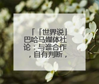 「世界说」巴哈马媒体社论：与谁合作，自有判断，不会沦为“权力游戏”