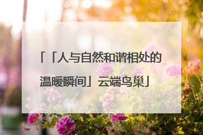 「人与自然和谐相处的温暖瞬间」云端鸟巢