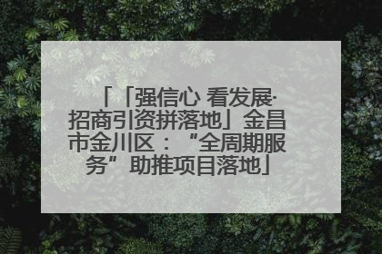 「强信心 看发展·招商引资拼落地」金昌市金川区：“全周期服务”助推项目落地