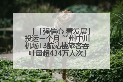 「强信心 看发展」投运三个月 兰州中川机场T3航站楼旅客吞吐量超434万人次