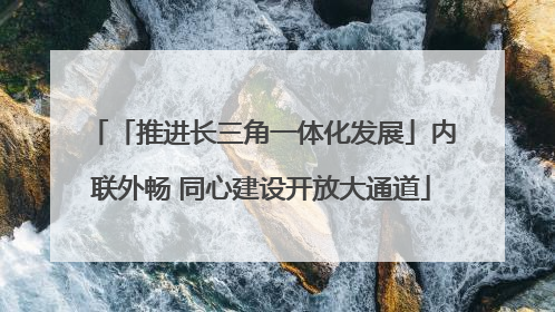 「推进长三角一体化发展」内联外畅 同心建设开放大通道