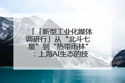 「新型工业化媒体调研行」从“北斗七星”到“热带雨林”：上海AI生态的技术商业共生密码
