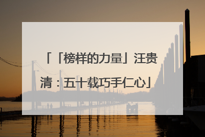 「榜样的力量」汪贵清：五十载巧手仁心