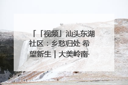 「视频」汕头东湖社区：乡愁归处 希望新生｜大美岭南·百村焕新记