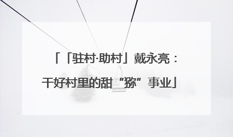 「驻村·助村」戴永亮：干好村里的甜“猕”事业