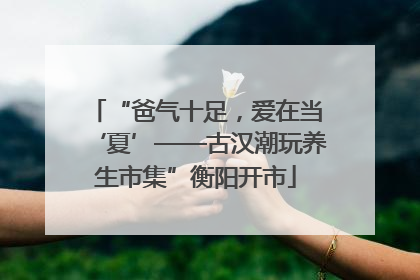 “爸气十足，爱在当‘夏’——古汉潮玩养生市集”衡阳开市