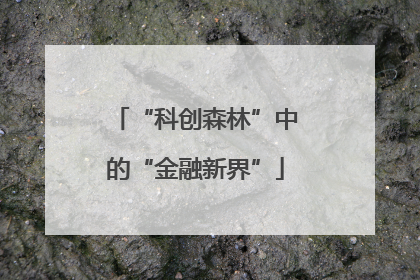 “科创森林”中的“金融新界”