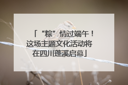 “粽”情过端午！这场主题文化活动将在四川蓬溪启幕