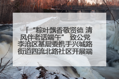 “粽叶飘香敬贤德 清风伴老话端午” 致公党李沧区基层委携手兴城路街道四流北路社区开展端午节主题活动