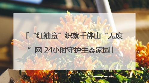 “红袖章”织就千佛山“无废”网 24小时守护生态家园
