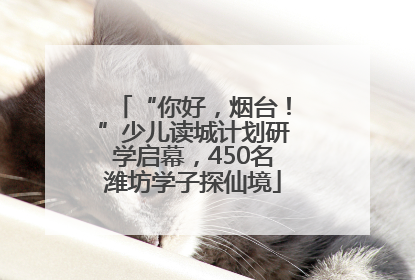 “你好，烟台！”少儿读城计划研学启幕，450名潍坊学子探仙境