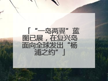 “一岛两翼”蓝图已展，在复兴岛面向全球发出“杨浦之约”