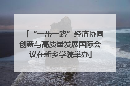 “一带一路”经济协同创新与高质量发展国际会议在新乡学院举办