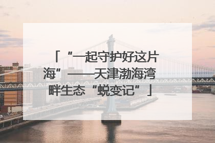 “一起守护好这片海”——天津渤海湾畔生态“蜕变记”