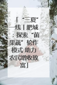 “三夏”一线丨肥城：探索“菌果蔬”轮作模式 助力农民增收致富