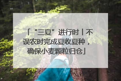 “三夏”进行时丨不误农时完成夏收夏种，确保小麦颗粒归仓