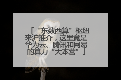 “东数西算”枢纽来沪推介，这里竟是华为云、腾讯和网易的算力“大本营”