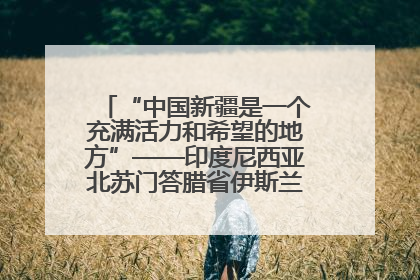 “中国新疆是一个充满活力和希望的地方”——印度尼西亚北苏门答腊省伊斯兰教代表团参访新疆