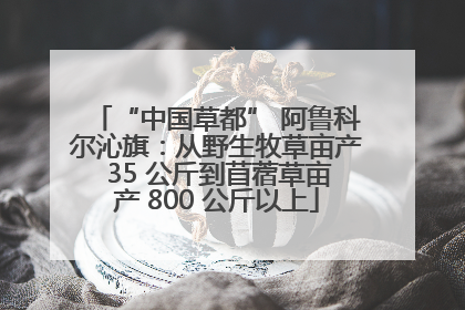 “中国草都” 阿鲁科尔沁旗：从野生牧草亩产 35 公斤到苜蓿草亩产 800 公斤以上