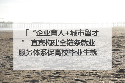 “企业育人+城市留才” 宜宾构建全链条就业服务体系促高校毕业生就业｜您牵挂的四川