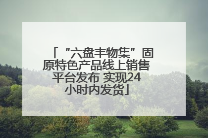 “六盘丰物集”固原特色产品线上销售平台发布 实现24小时内发货