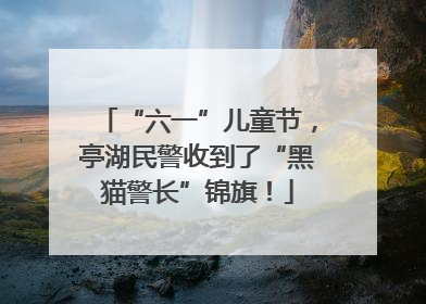 “六一”儿童节，亭湖民警收到了“黑猫警长”锦旗！