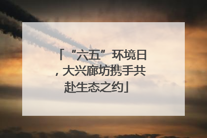 “六五”环境日，大兴廊坊携手共赴生态之约