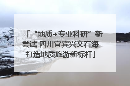 “地质+专业科研”新尝试 四川宜宾兴文石海打造地质旅游新标杆