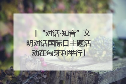 “对话·知音”文明对话国际日主题活动在匈牙利举行