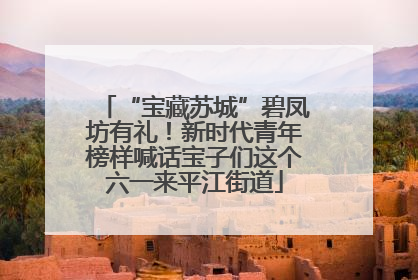 “宝藏苏城”碧凤坊有礼！新时代青年榜样喊话宝子们这个六一来平江街道