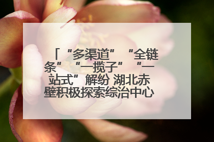 “多渠道”“全链条”“一揽子”“一站式”解纷 湖北赤壁积极探索综治中心规范化建设新路子