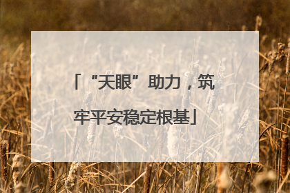 “天眼”助力，筑牢平安稳定根基