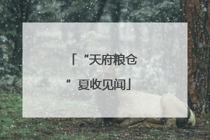 “天府粮仓”夏收见闻