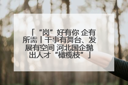 “岗”好有你 企有所需丨干事有舞台、发展有空间 河北国企抛出人才“橄榄枝”