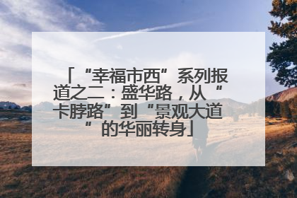 “幸福市西”系列报道之二：盛华路，从“卡脖路”到“景观大道”的华丽转身