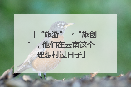 “旅游”→“旅创”，他们在云南这个理想村过日子