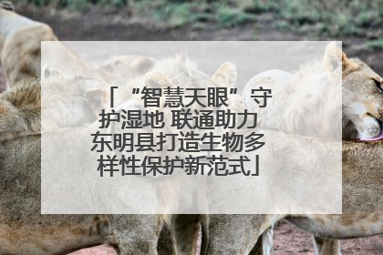 “智慧天眼”守护湿地 联通助力东明县打造生物多样性保护新范式