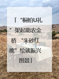 “桐柏U礼”架起助农金桥 “朱砂红桃”绘就振兴图景