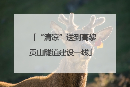 “清凉”送到高黎贡山隧道建设一线