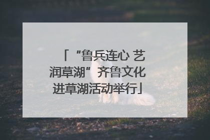 “鲁兵连心 艺润草湖”齐鲁文化进草湖活动举行