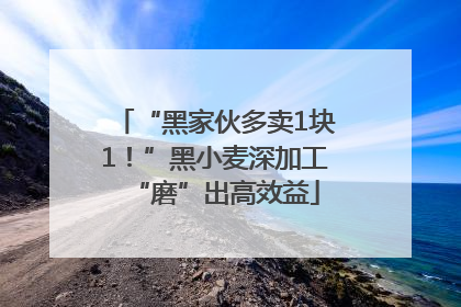 “黑家伙多卖1块1！”黑小麦深加工“磨”出高效益