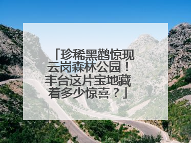 珍稀黑鹳惊现云岗森林公园！丰台这片宝地藏着多少惊喜？