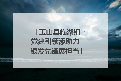 玉山县临湖镇：党建引领添助力 银发先锋展担当