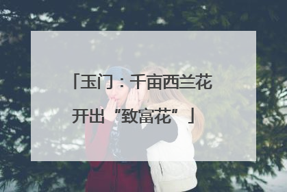 玉门：千亩西兰花开出“致富花”