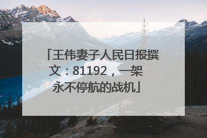 王伟妻子人民日报撰文：81192，一架永不停航的战机