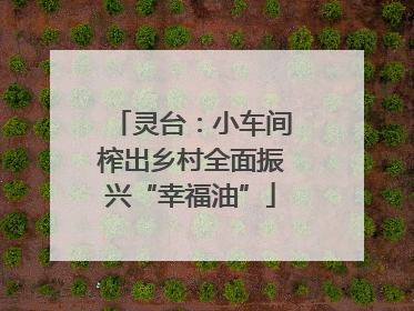 灵台：小车间榨出乡村全面振兴“幸福油”